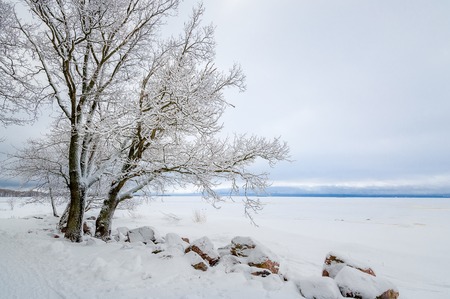 Winter snowy landscape with tree in frost and partly frozen waterの写真素材