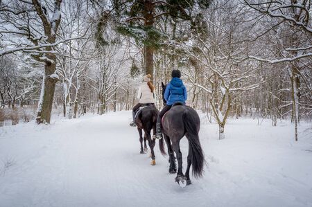 Two riders on the horses at beautiful winter snowy forest. Back view.の写真素材