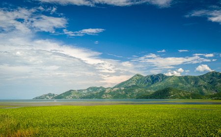 Skadar lake national park. Popular touristic spot in Montenegro.の写真素材