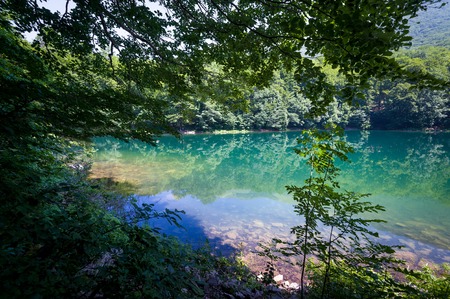 View of forest lake in the frame of trees. Biogradska mountain national park. Popular hiking route in Montenegro.の写真素材