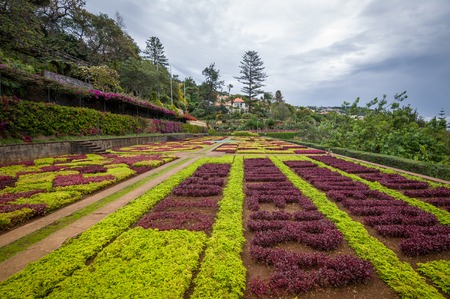 Decorative colorful flowers fields at Botanical garden in Funchal. Madeira island, Portugal.の写真素材