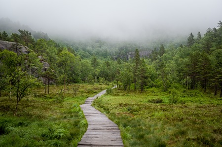Hiking route to famous touristic attraction - Prekestolen rock. Wooden path and forest in fog. Lysefjord, Norway.の写真素材