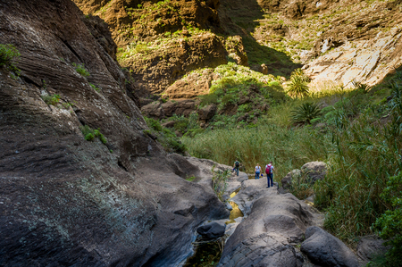 Tourists at Masca hike, Tenerifeの写真素材