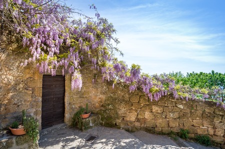 Civita di Bagnoregio walls with colorful flowers. Tuscany touristic stops, Italy.の写真素材