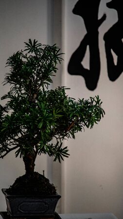 Zen momentの写真素材
