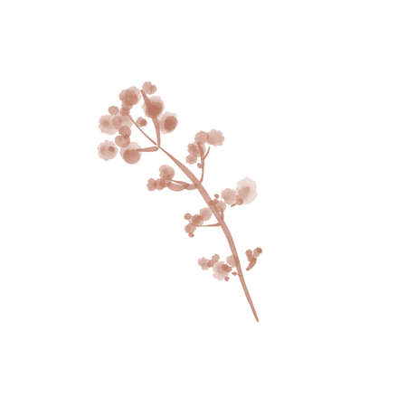 Set of watercolor plants and flowers, illustration design elements isolated on white background. Collection decorative plants for textile, wallpapers, wedding, greeting or invitation card.の写真素材