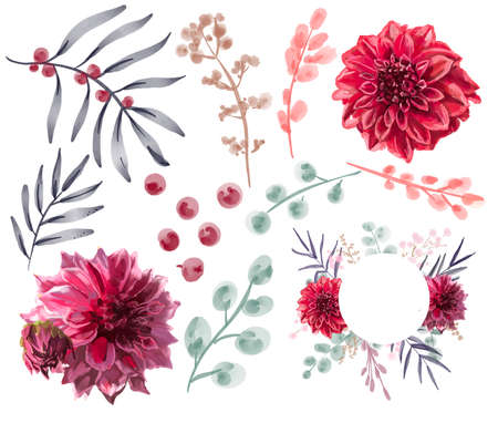 Set of watercolor plants and flowers, illustration design elements isolated on white background. Collection decorative plants for textile, wallpapers, wedding, greeting or invitation card.の写真素材