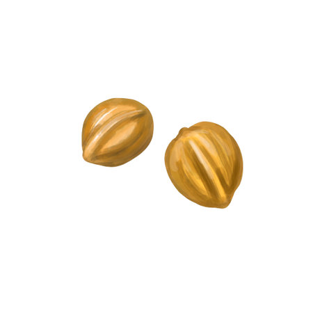 set of walnuts isolated on white background.の写真素材