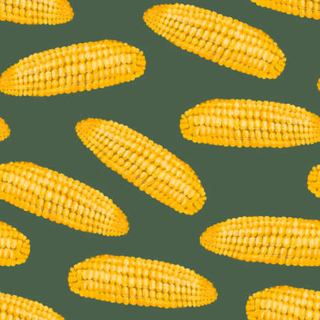 Seamless pattern with fresh ripe corn cobs. Green backgroundの写真素材