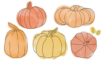 Beautiful pumpkin halloween thanksgiving seamless pattern, cute cartoon pumpkins hand drawn background, great for seasonal textile prints, holiday banners, backdrops or wallpapersの写真素材