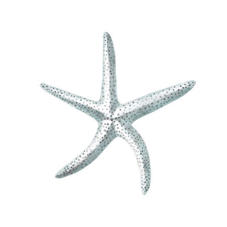 Starfish watercolor painting isolated on white background. Watercolor illustration , sea animal drawing.の写真素材