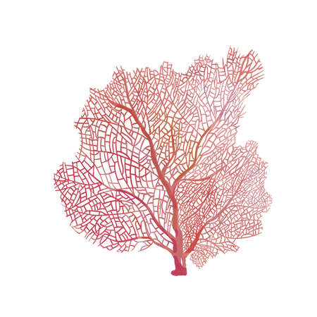 Beautiful underwater composition with watercolor sea life coral stock illustrations.の写真素材