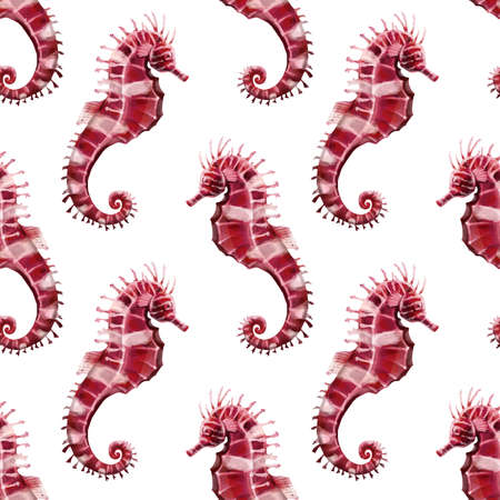 Seamless Pattern hand painted watercolor sea horse. It is perfect for cards, template design, postcards.の写真素材