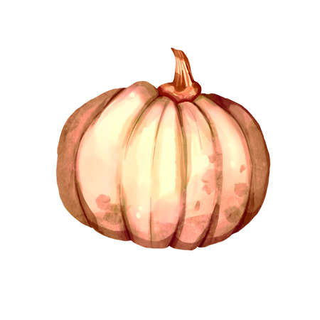 Beautiful orange pumpkins on isolated white background. Autumn set of elements on isolated white background. Watercolor illustration. Hand drawing. It is perfect for thanksgiving cardsの写真素材