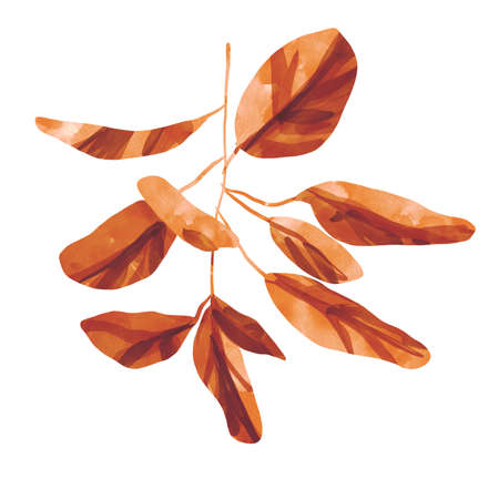 Red Watercolour floral illustration set. DIY flower, green leaves elements collection - for bouquets, wreaths, arrangements, wedding invitations, anniversary, birthday, postcards, greetings, cards, logo. High quality illustrationの写真素材