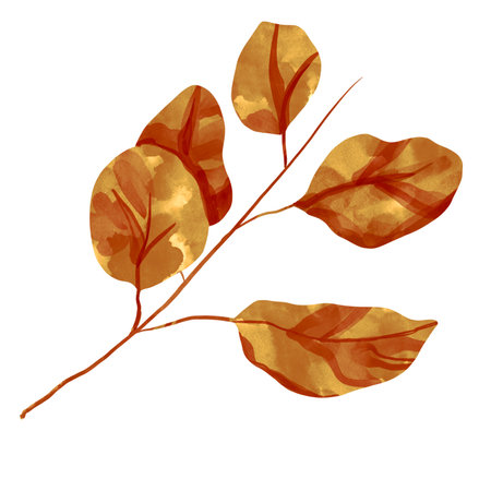 Red Watercolour floral illustration set. DIY flower, green leaves elements collection - for bouquets, wreaths, arrangements, wedding invitations, anniversary, birthday, postcards, greetings, cards, logo. High quality illustrationの写真素材
