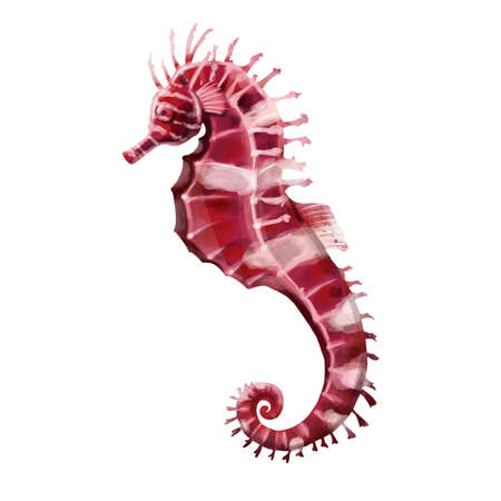 hand painted watercolor sea horse. It is perfect for cards, template design, postcards.の写真素材