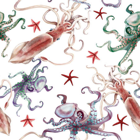 Watercolor squid octopus seamless pattern, starfish, hand painted illustration isolated on white backgroundの写真素材