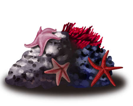 Watercolor illustration of underwater starfish and stones on the sand. Marine composition. Hand-drawn print.の写真素材