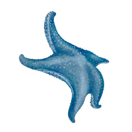 Starfish watercolor painting isolated on white background. Watercolor illustration , sea animal drawing.の写真素材