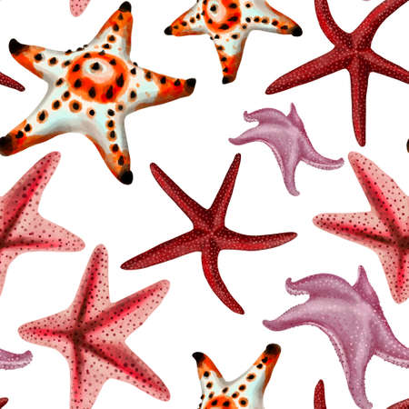 Watercolor illustration of starfish seamless pattern on backgroundの写真素材