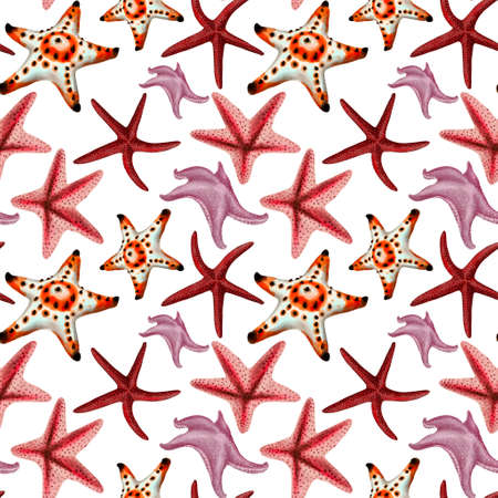 Watercolor illustration of starfish seamless pattern on backgroundの写真素材