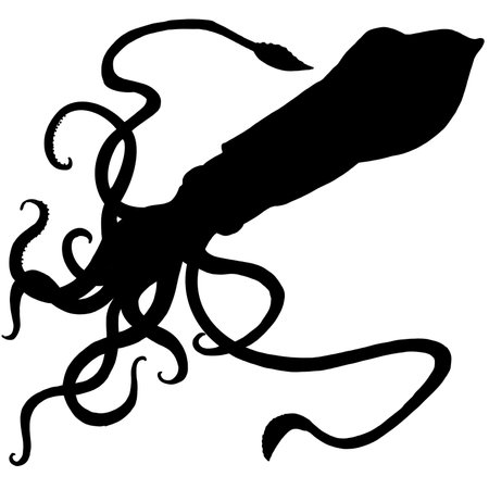 Watercolor hand drawn squid. silhouette Isolated seafood illustration on white backgroundの写真素材