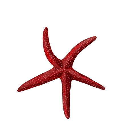 Starfish watercolor painting isolated on white background. Watercolor illustration , sea animal drawing.の写真素材
