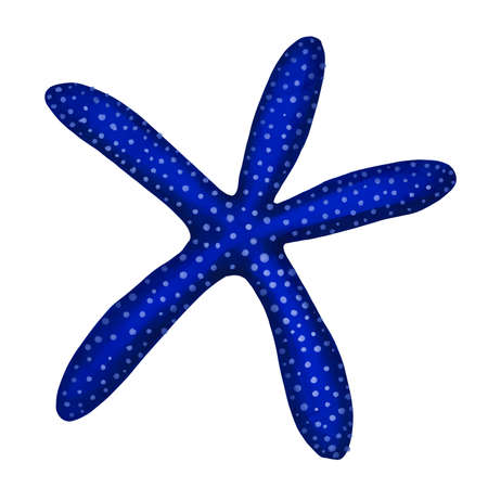 Starfish watercolor painting isolated on white background. Watercolor illustration , sea animal drawing.の写真素材