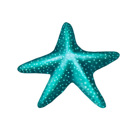 Starfish watercolor painting isolated on white background. Watercolor illustration , sea animal drawing.の写真素材
