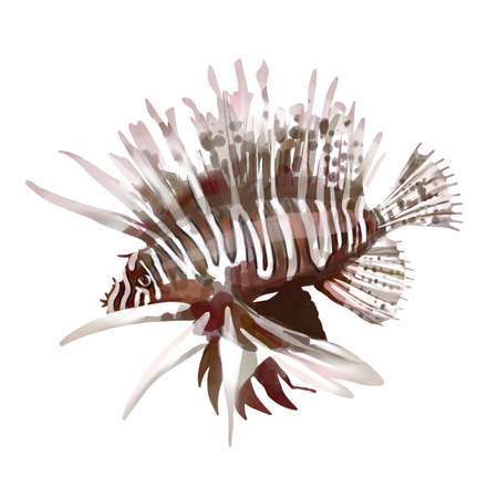 Hand drawn watercolor illustration of striped lionfish. Underwater life. Isolated objects on white background.の写真素材