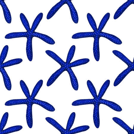 Watercolor illustration of starfish seamless pattern on backgroundの写真素材