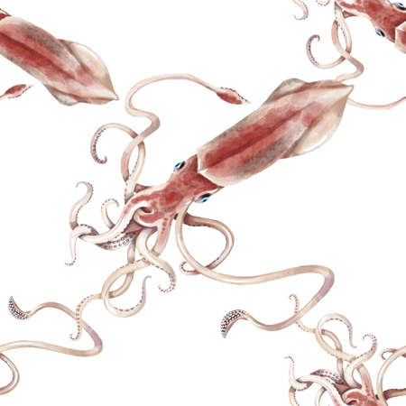 Watercolor hand drawn squid. Isolated seafood illustration on white backgroundの写真素材