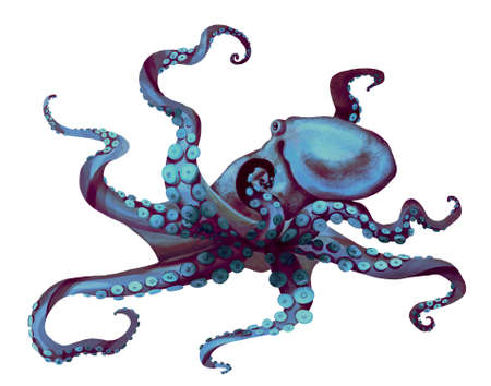 watercolor octopus. Sea pulpa, devilish with tentacles illustration is isolated on a white backgroundの写真素材