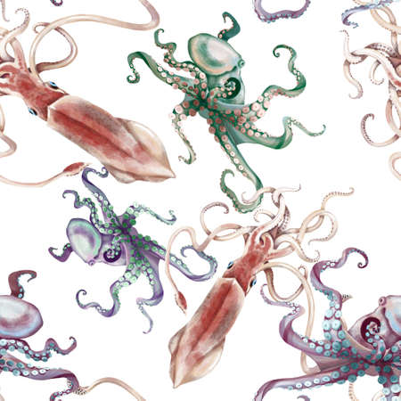 Watercolor squid octopus seamless pattern, hand painted illustrationの写真素材