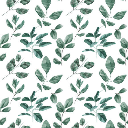 Seamless floral pattern with eucalyptus leaves. Watercolor seamless pattern gardenの写真素材