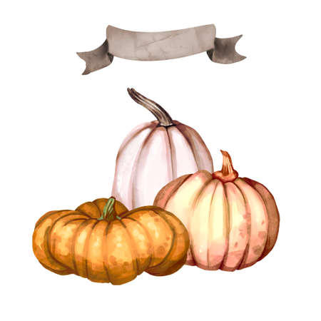 Watercolor pumpkin compositions. Orange and rose pumpkin. Isolated background illustrationの写真素材