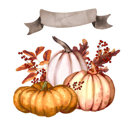 Watercolor pumpkin compositions. Orange and rose pumpkin. Isolated background illustrationの写真素材