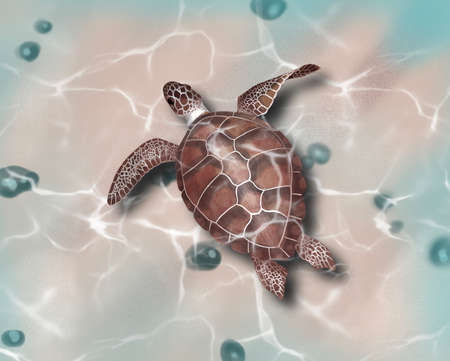 Big sea turtle watercolor painting. Illustration realisticの写真素材
