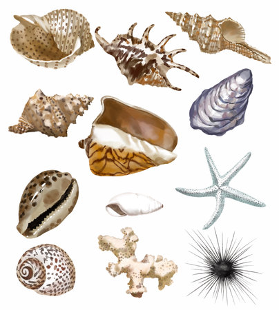 Watercolor set of seashells, seahorse, starfish, coral on an isolated white background, hand drawing, summer sea clipartの写真素材