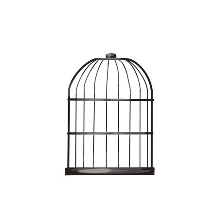 empty bird cage. watercolor illustration. isolated on white backgroundの写真素材