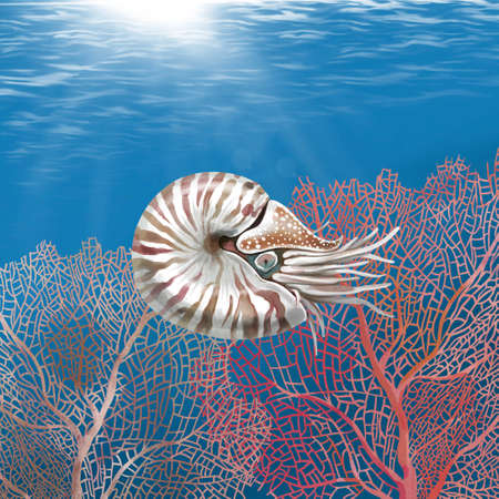 watercolor Nautilus on the background of the sea and coralの写真素材