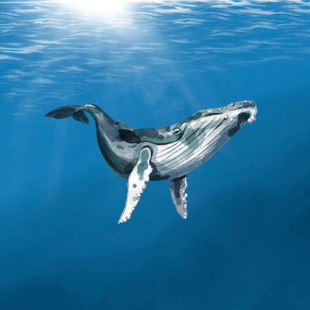 White whale, Whale Finwal against the background of the ocean. Watercolor illustrationの写真素材