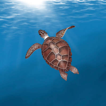 Watercolor sea turtle on. Against the background of the ocean. Illustration of a sea turtleの写真素材