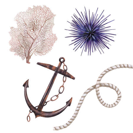 Watercolor anchor, coral, seagrass and rope with knot. Marine theme. Isolated illustration on a white backgroundの写真素材