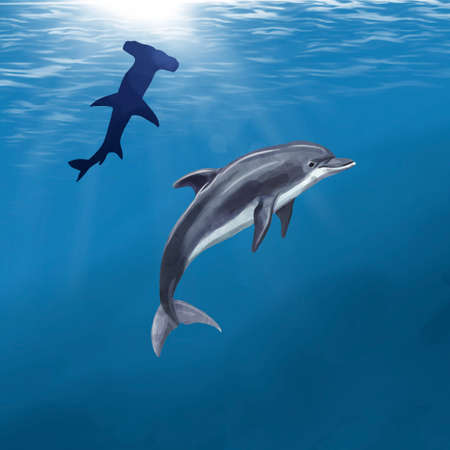 Watercolor dolphin on the background of the ocean blue. Dolphin and hammer Sharkの写真素材