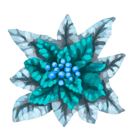 Watercolor Poinsettia. Christmas star. Christmas flower isolated on a white backgroundの写真素材