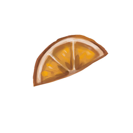 watercolor slice of dried orange. orange slice isolated on a white backgroundの写真素材