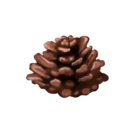 watercolor brown cone. isolated bump on a white backgroundの写真素材