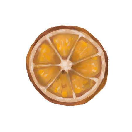 watercolor slice of dried orange. orange slice isolated on a white backgroundの写真素材